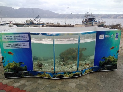 Sea Turtle Rehabilitation Center